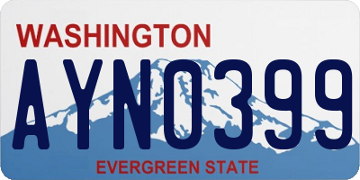 WA license plate AYN0399