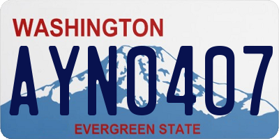 WA license plate AYN0407