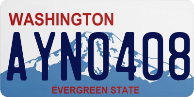 WA license plate AYN0408