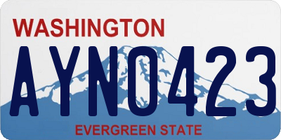 WA license plate AYN0423