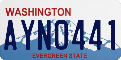 WA license plate AYN0441