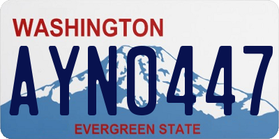 WA license plate AYN0447