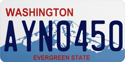 WA license plate AYN0450