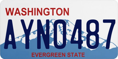 WA license plate AYN0487