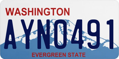 WA license plate AYN0491