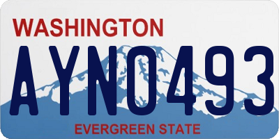 WA license plate AYN0493