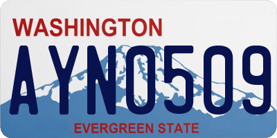 WA license plate AYN0509