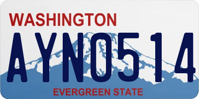 WA license plate AYN0514