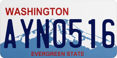 WA license plate AYN0516