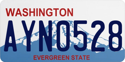 WA license plate AYN0528