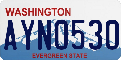 WA license plate AYN0530