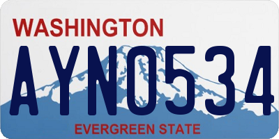 WA license plate AYN0534