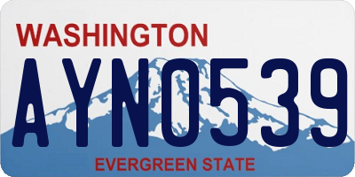 WA license plate AYN0539