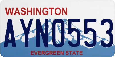 WA license plate AYN0553