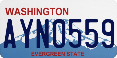 WA license plate AYN0559