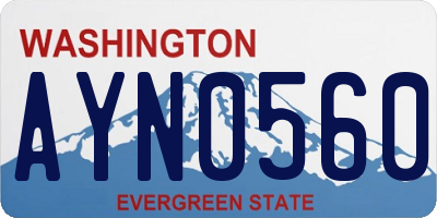 WA license plate AYN0560