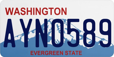 WA license plate AYN0589