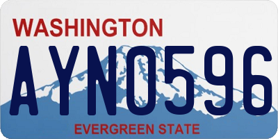 WA license plate AYN0596