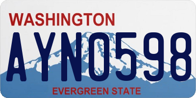 WA license plate AYN0598