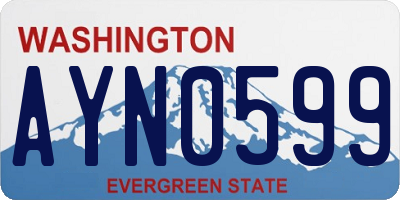 WA license plate AYN0599