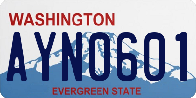 WA license plate AYN0601