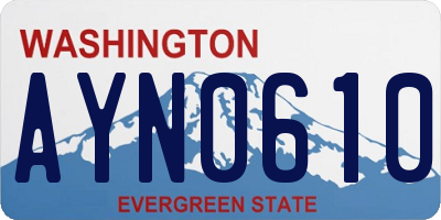 WA license plate AYN0610