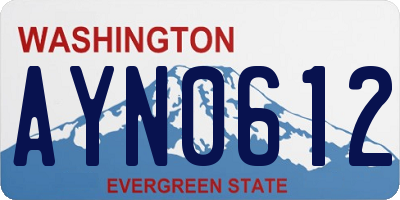 WA license plate AYN0612