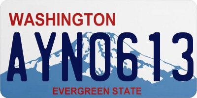 WA license plate AYN0613