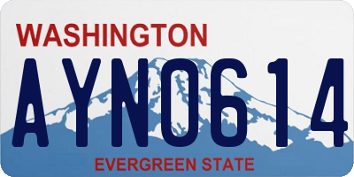 WA license plate AYN0614