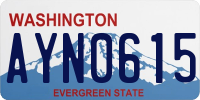 WA license plate AYN0615
