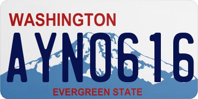 WA license plate AYN0616