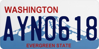 WA license plate AYN0618