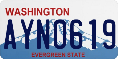WA license plate AYN0619