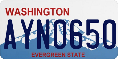 WA license plate AYN0650