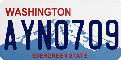 WA license plate AYN0709