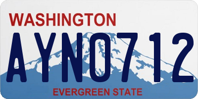 WA license plate AYN0712