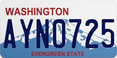 WA license plate AYN0725