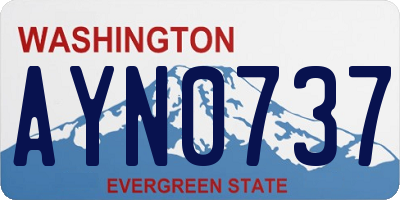 WA license plate AYN0737