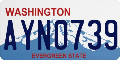 WA license plate AYN0739