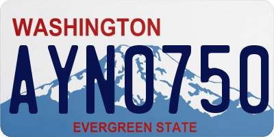 WA license plate AYN0750