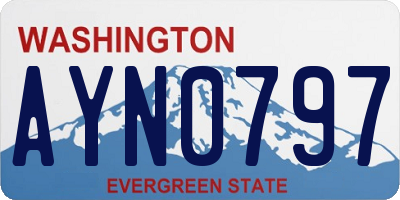 WA license plate AYN0797