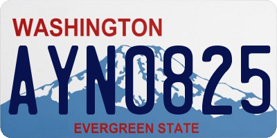 WA license plate AYN0825