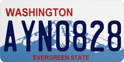 WA license plate AYN0828