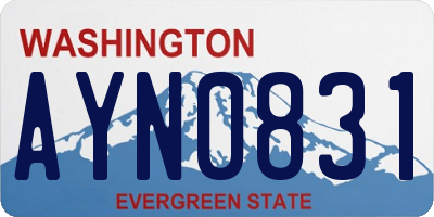 WA license plate AYN0831