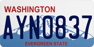 WA license plate AYN0837