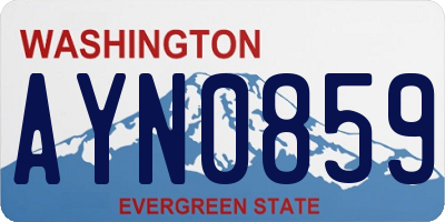 WA license plate AYN0859