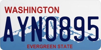 WA license plate AYN0895