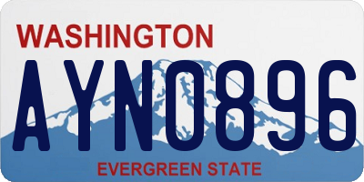 WA license plate AYN0896
