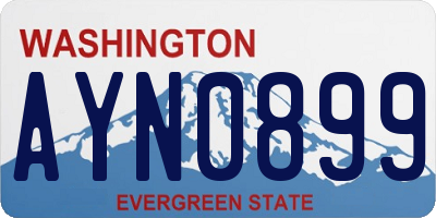 WA license plate AYN0899