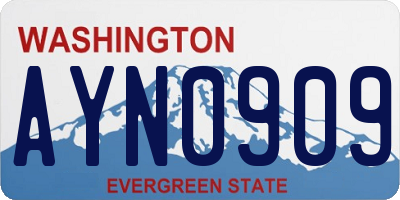 WA license plate AYN0909